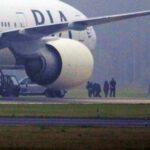 pia