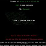 Pak Cyber Experts