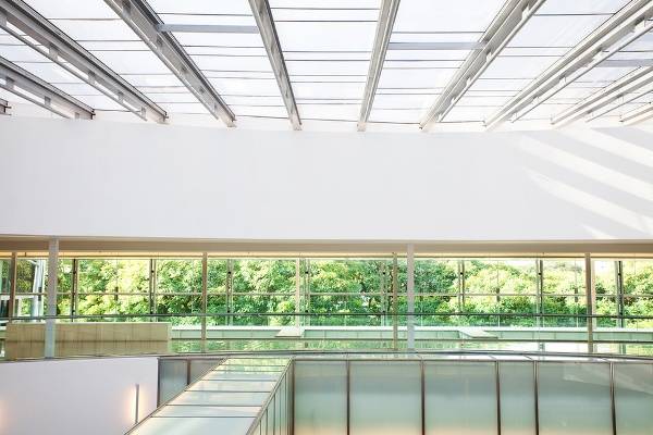 smart windows
