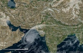 nilofar