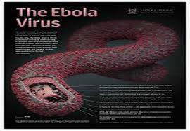 Ebola-1
