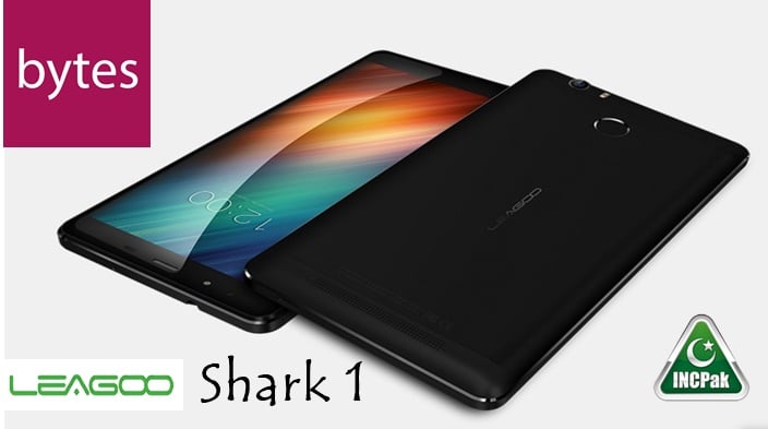 Shark 1