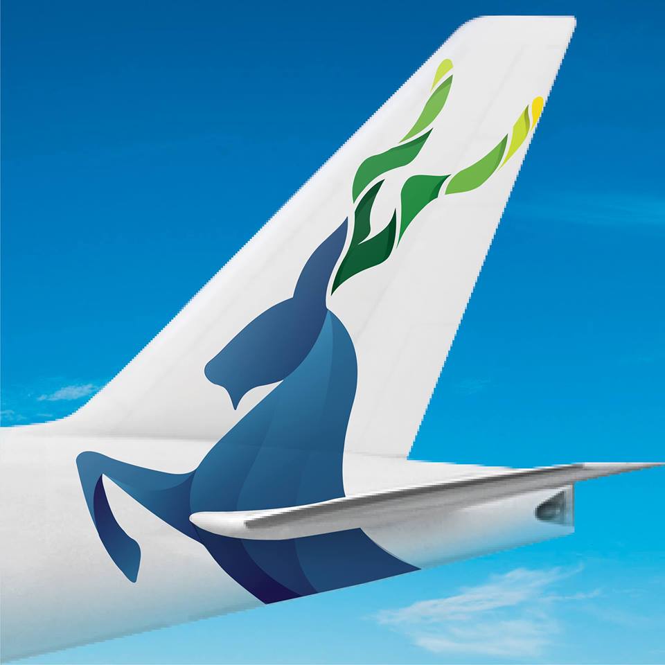 PIA - Pakistan International Airline
