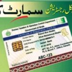 Online Vehicle Verification Sindh Vehicle Verification MTMIS Sindh