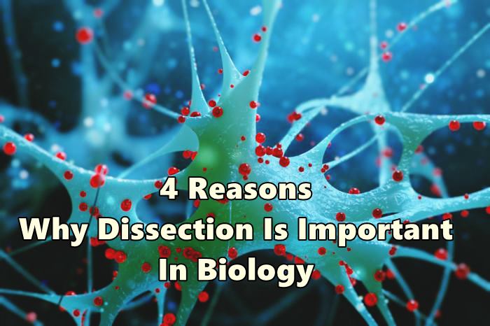 Biology