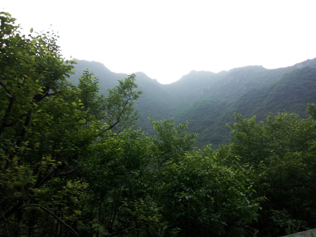 Margalla Hills, Islamabad