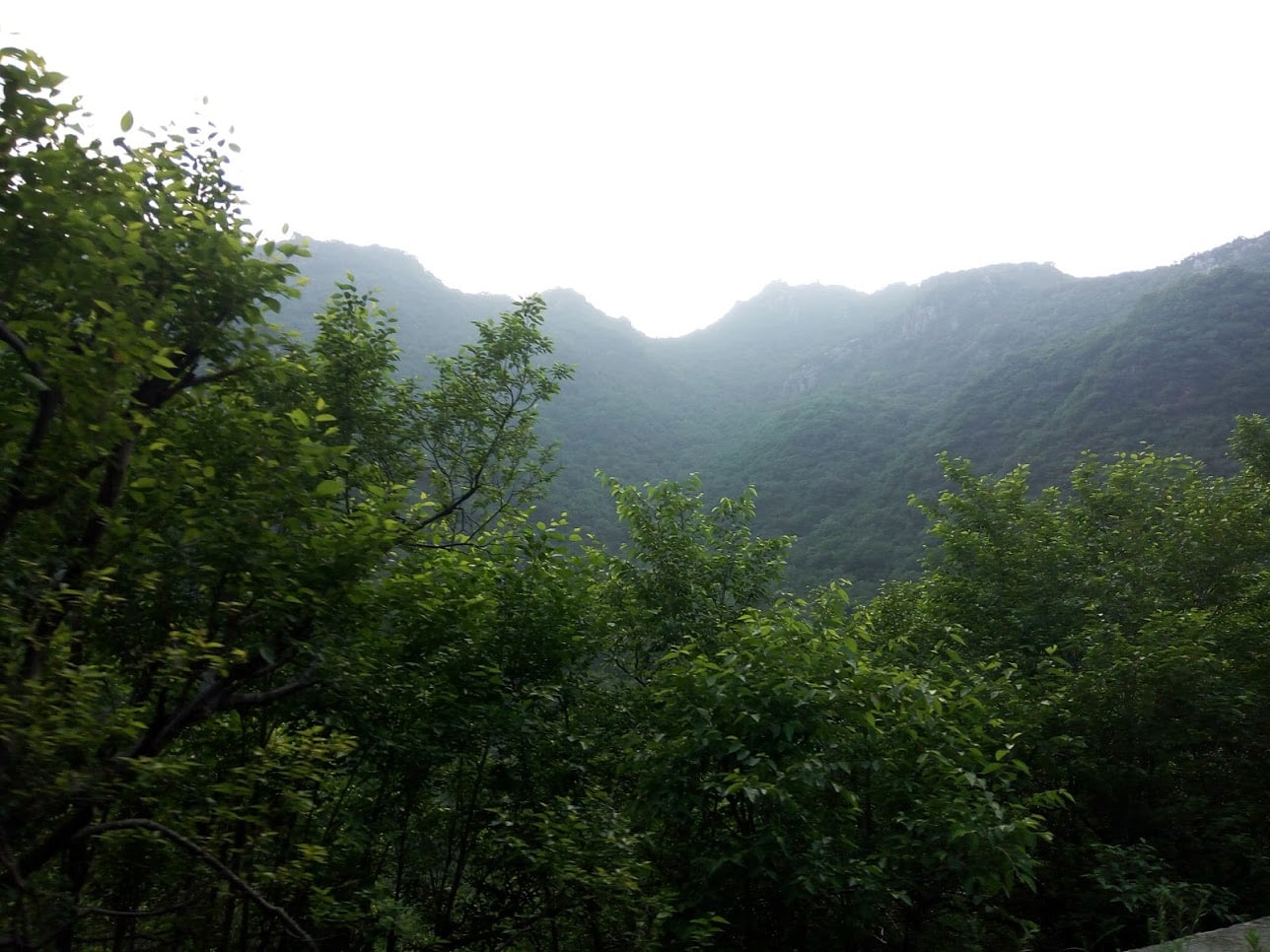 margalla hills