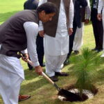 Clean And Green Drive Initiated By PM Imran Khan