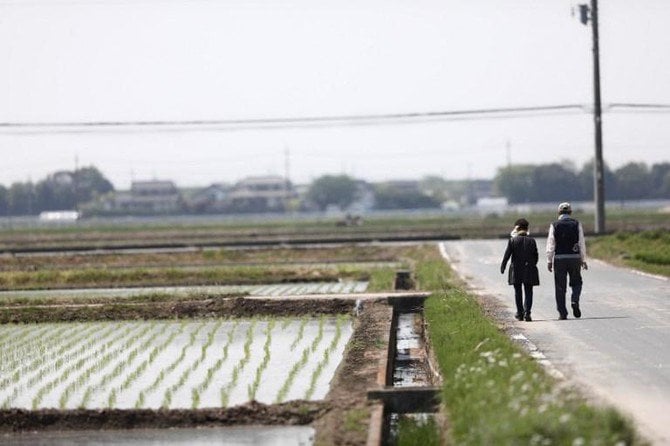 Japan to attract more Qualified Foreign Workers 