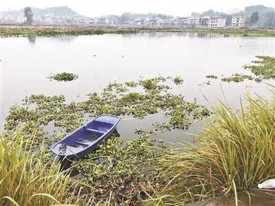 The pond where Dai and her Children drowned PC: CGTN