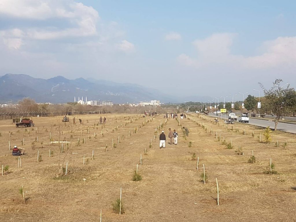 CDA & MCI carried out Tree Plantation Campaign in E-10 Islamabad