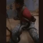 Indonesian Police Use Snake To Interrogate Papuan man