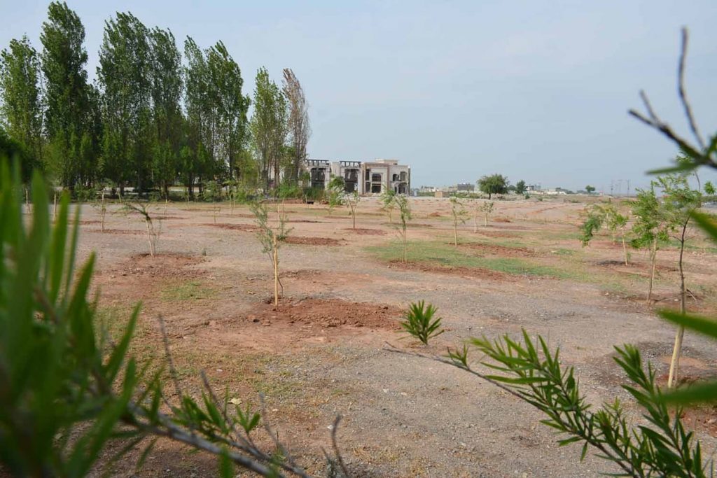 Tree Plantation on Kashmir Highway Islamabad