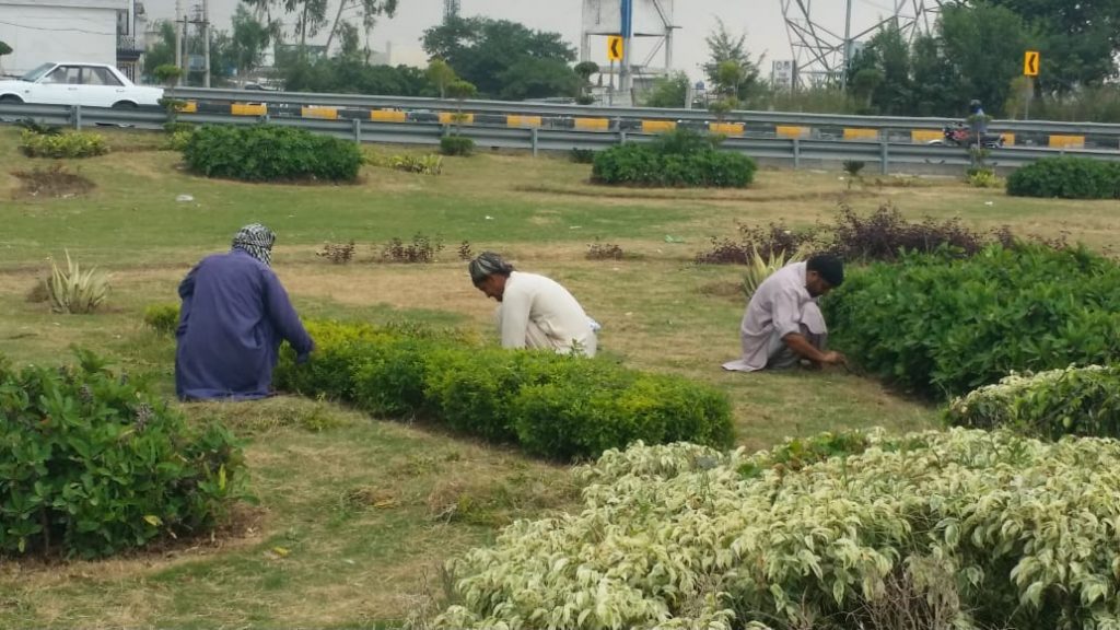 Clean and Green Environment in Islamabad 