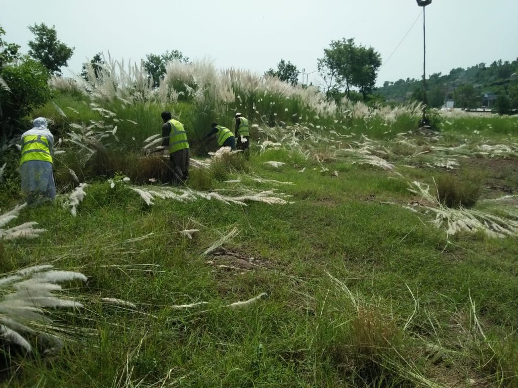 Clean and Green Campaign in Islamabad continues 