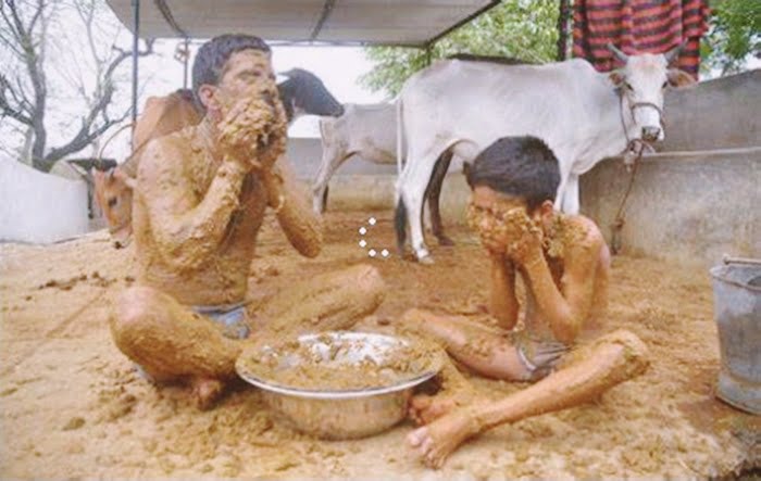 Cow Dung Protects From Nuclear Radiation