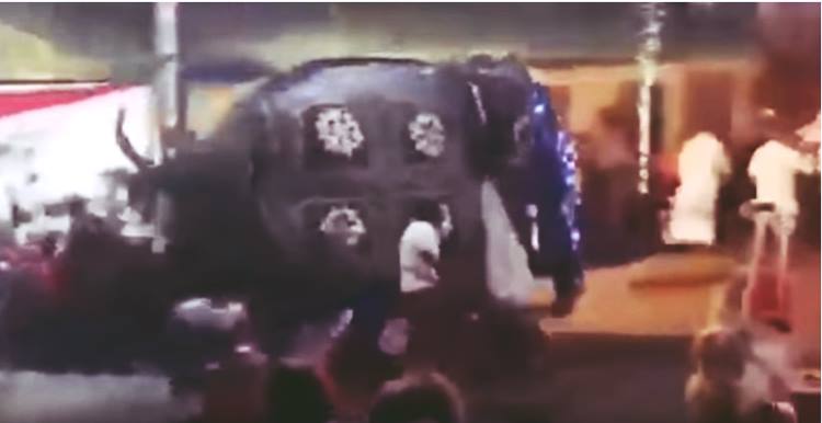 Elephant Trample Crowd In Sri Lanka 
