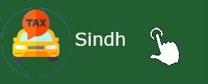 Sindh Vehicle tax details