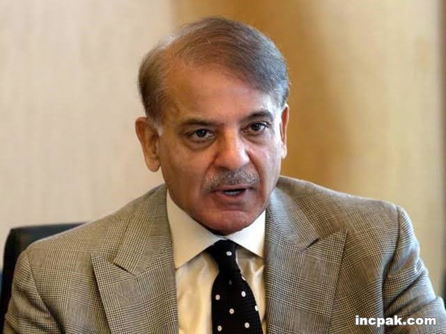 Shehbaz Sharif files lawsuit The Daily Mail Online David Rose