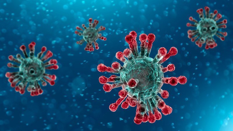 coronavirus death toll china
