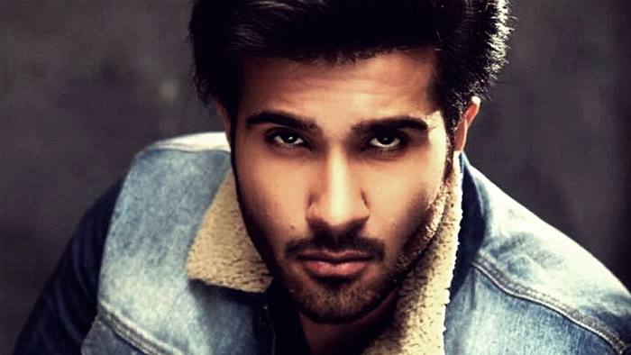 Feroze Khan TikTok Cancer Hareem Shah