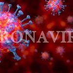 Coronavirus cases in Pakistan bring tally to 1000