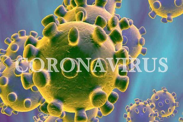 coronavirus pakistan coronavirus outbreak sindh Punjab