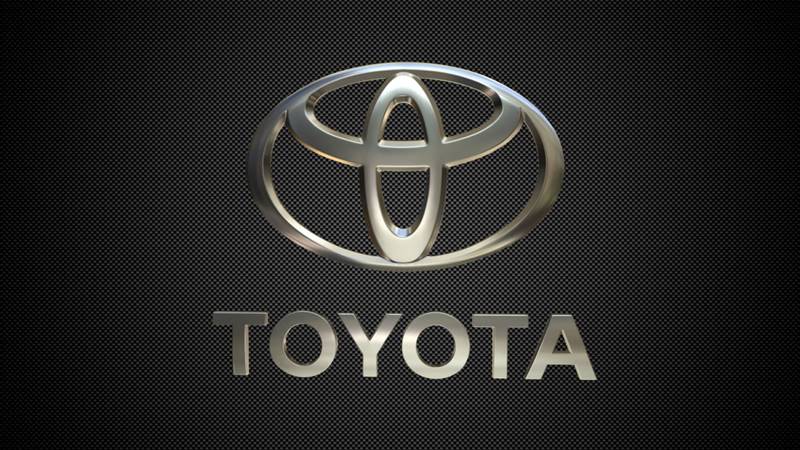 Toyota Production Plant