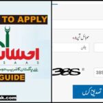 Ehsaas Cash Program