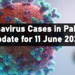 Coronavirus cases in Pakistan