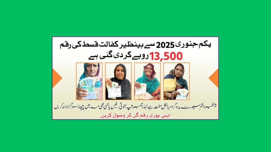 Ehsaas Program Status Check with CNIC - Online Portal