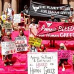 Animal bleed for human greed Trafalgar Square fountains turned blood red
