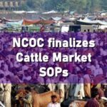 Cattle Markets SOPs