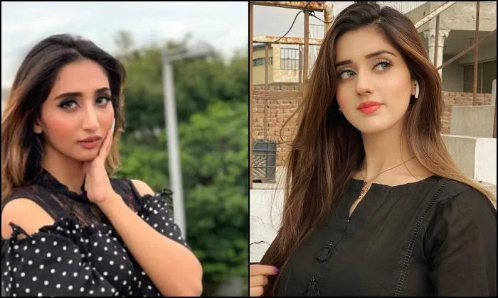Sehar Mirza leaked, Sehar Mirza, Jannat Mirza, TikTok Star, TikTok