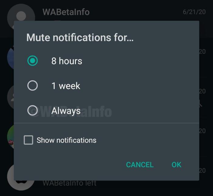 WhatsApp Expiring Messages, WhatsApp Mute Always, WhatsApp, Mute Always, Expiring Messages