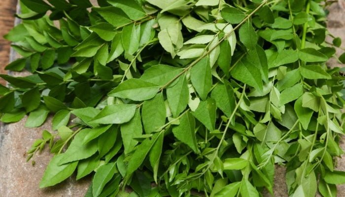 Curry leaves