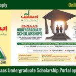 Ehsaas Undergraduate Scholarship Apply Online Ehsaas Ehsaas Undergraduate Scholarship Programme