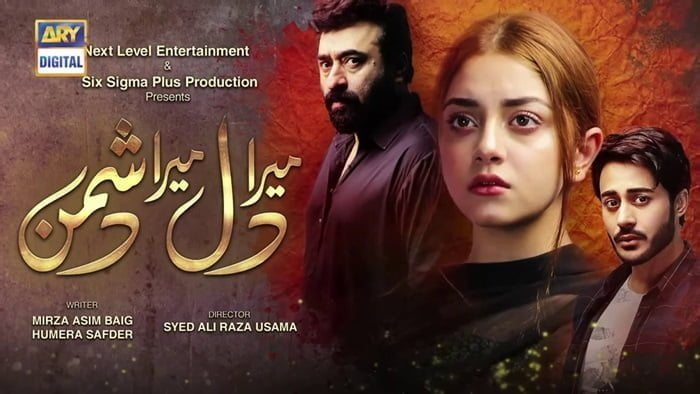 Mera Dil Mera Dushman, Alizeh Shah, Noman Ansari