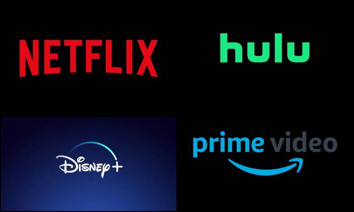 Pakistani Netflix, Pakistan OTT, Netflix, Disney Plus, Hulu, Amazon Prime Video