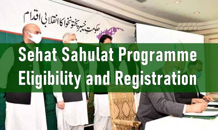 Sehat Sahulat Programme, Sehat Sahulat Program