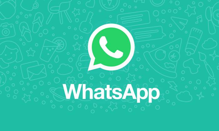 WhatsApp Support, WhatsApp Support Feature, WhatsApp