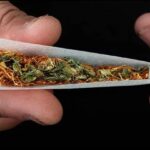 Charas Hashish SHC