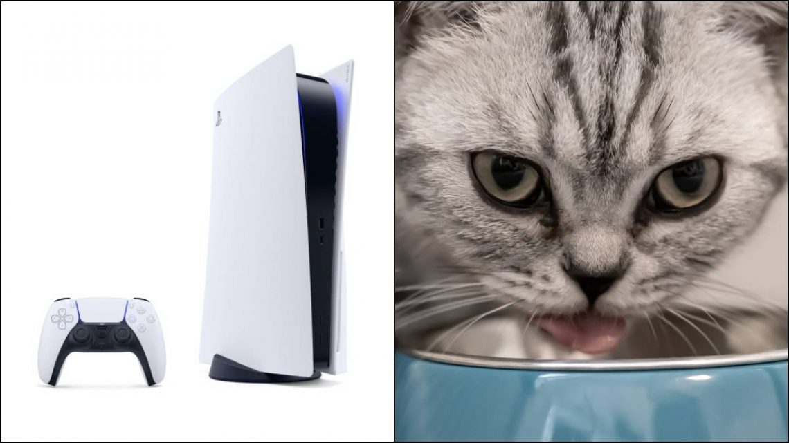 PlayStation 5, PS5, PlayStation 5 Cat food, PS5 Cat food