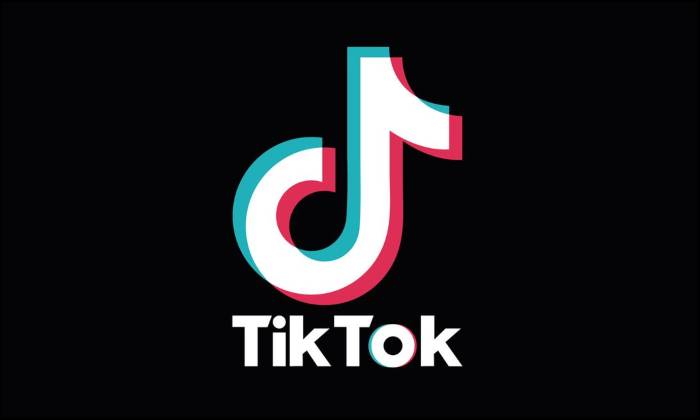 TikTok parental control, TikTok, TikTok family pairing