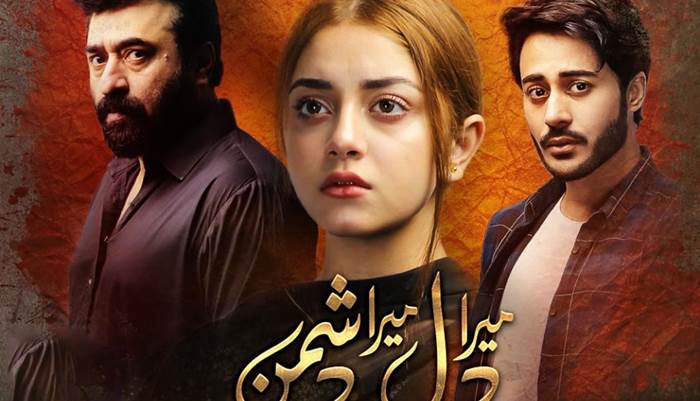 Mera Dil Mera Dushman - Top Pakistani Dramas 2020