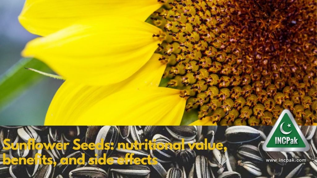 Sunflower Seeds: nutritional value, benefits, and side effects