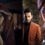 Neeli Zinda Hai