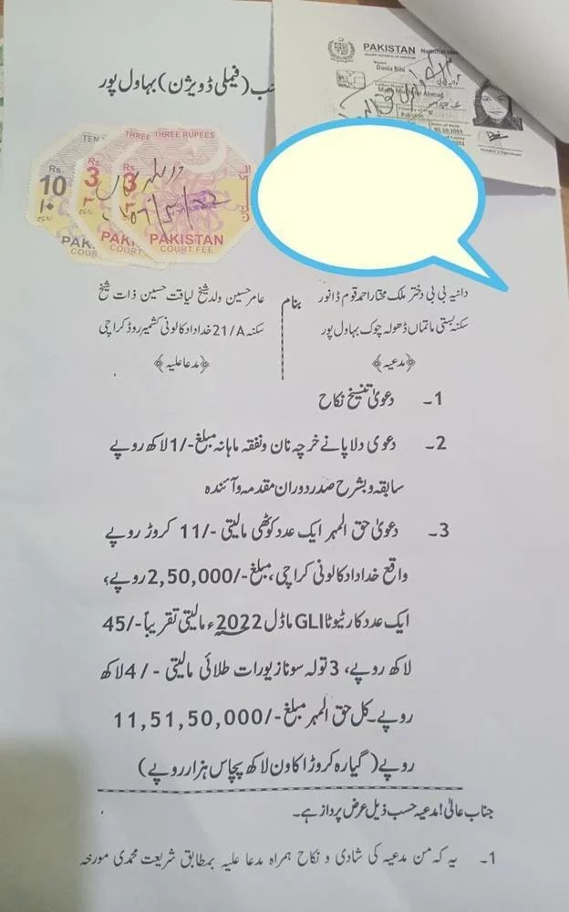 Aamir Liaquat, Syeda Dania Shah, Aamir Liaquat Divorce