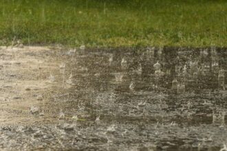 PMD Forecasts Widespread Monsoon Rains from June 25