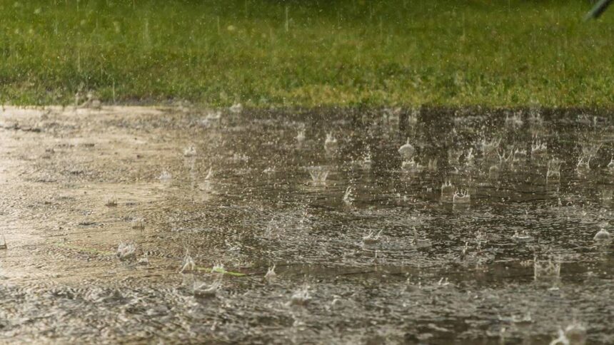 PMD Forecasts Widespread Monsoon Rains from June 25